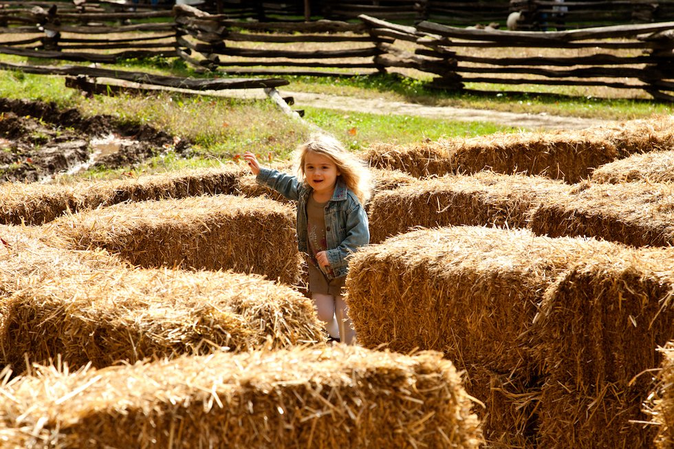 Festivals of Fall