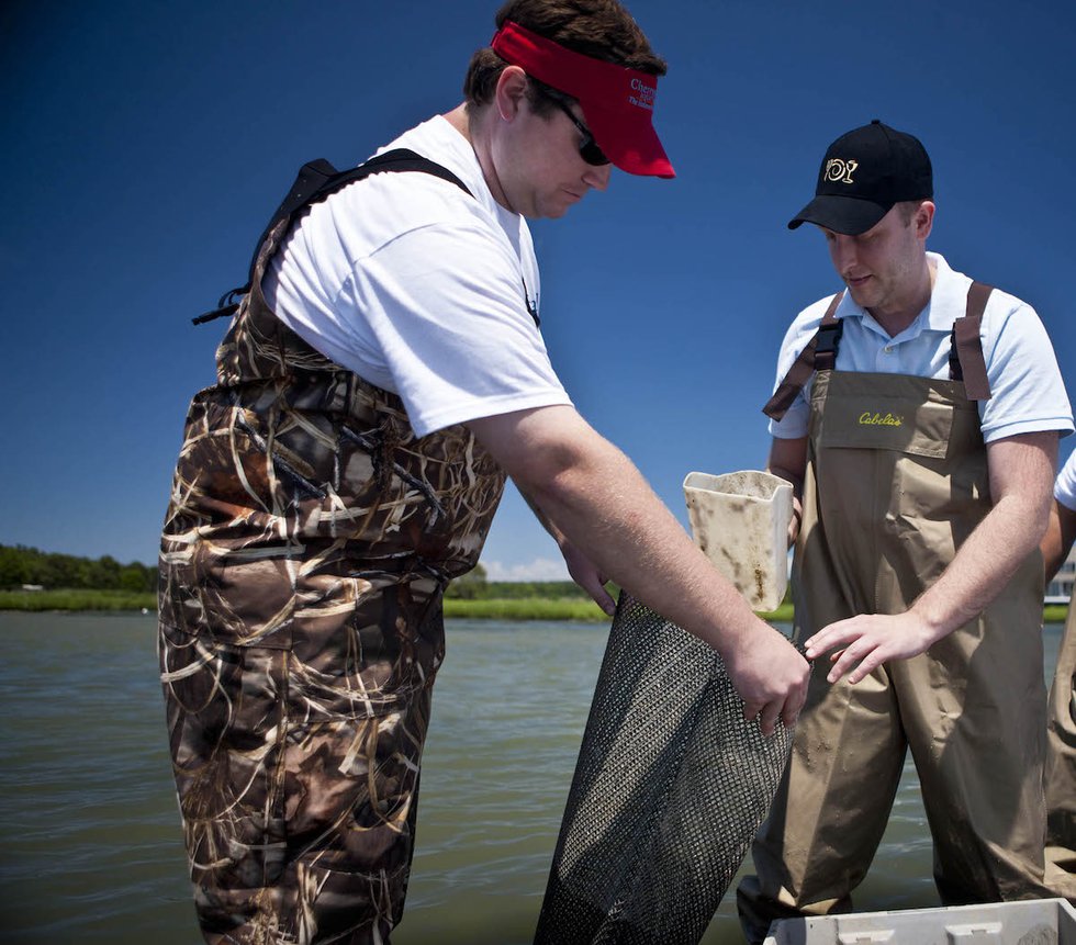 Bullish on Bivalves