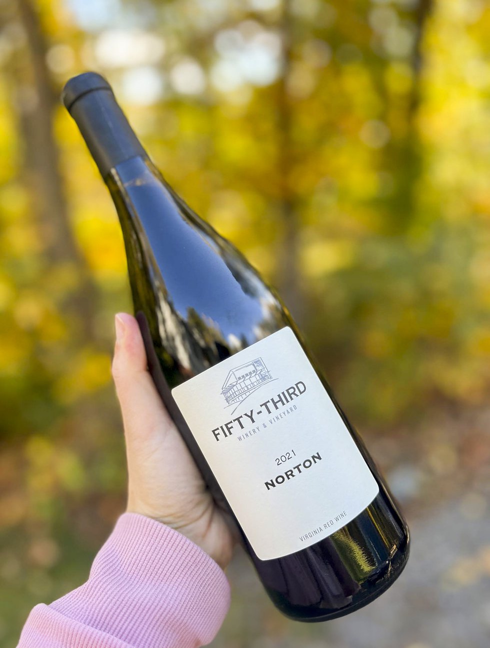 Virginia Wine Experience