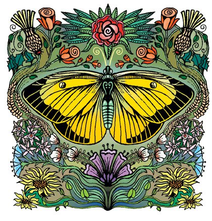 Cloudless Sulfur Butterfly