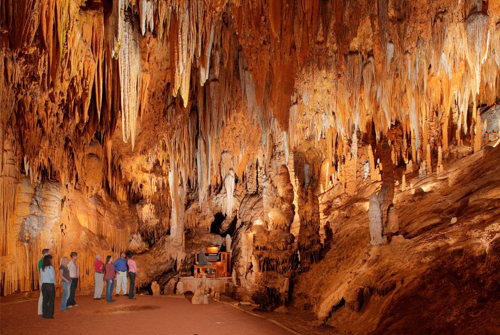 Cave Fever