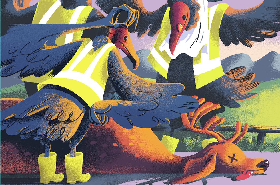 Meet Nature’s Cleanup Crew