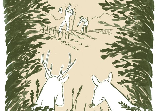 Reaping Havoc