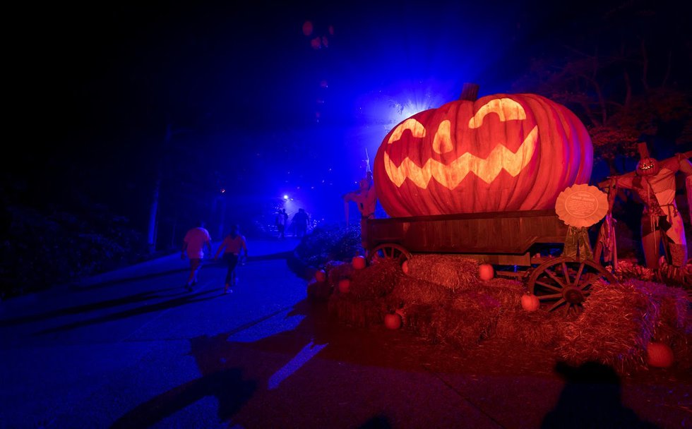 Eat, Drink, and Be Scary