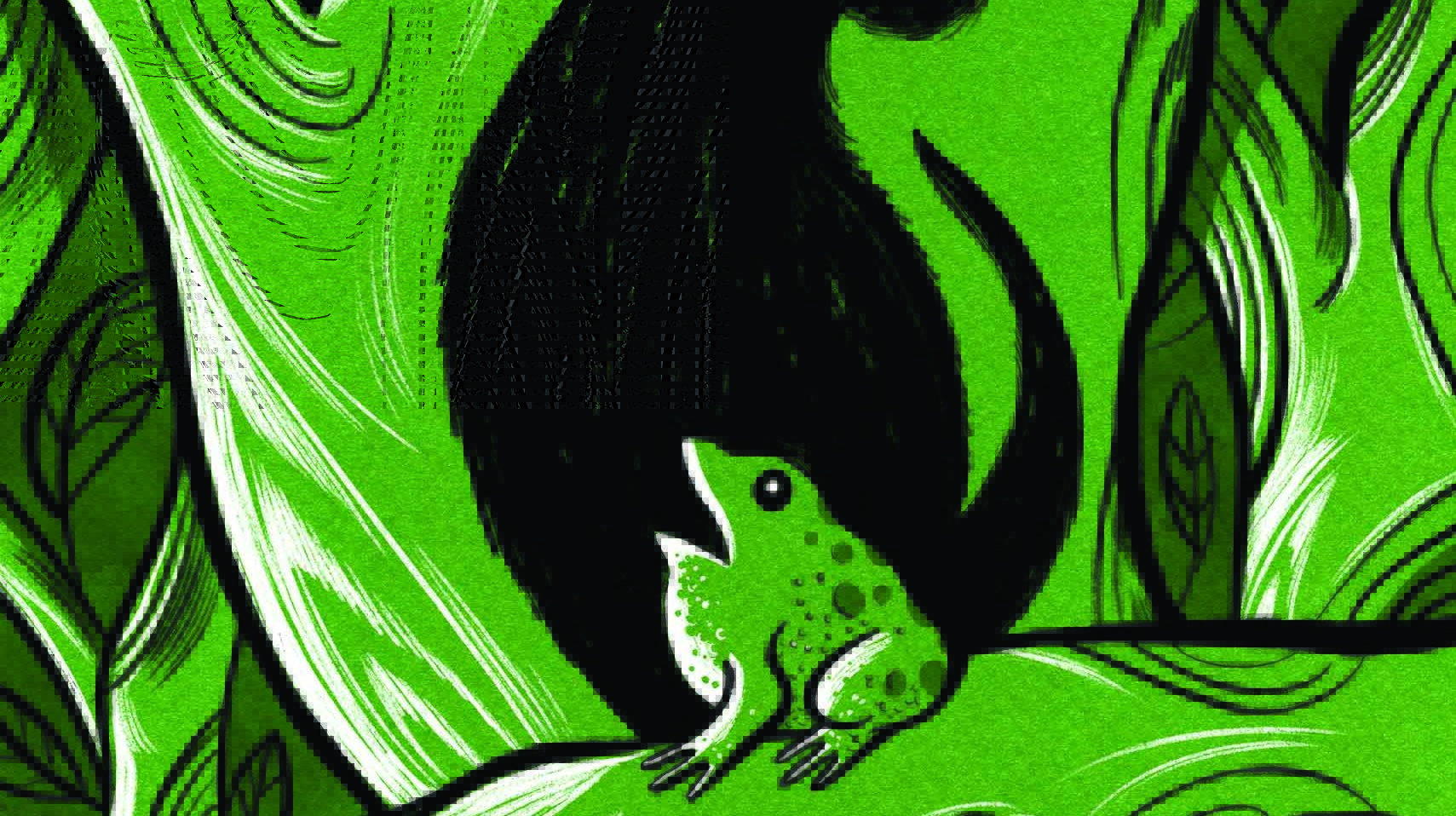Barking Tree Frog