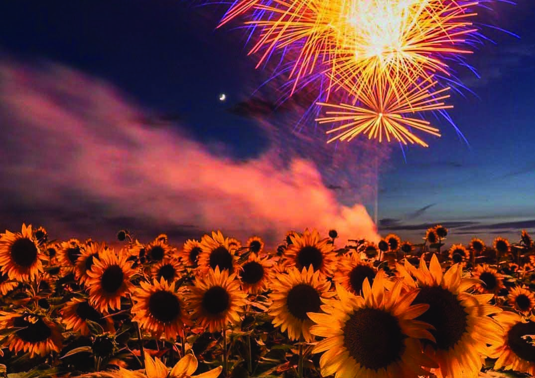 Don’t miss these summer flower festivals in Virginia